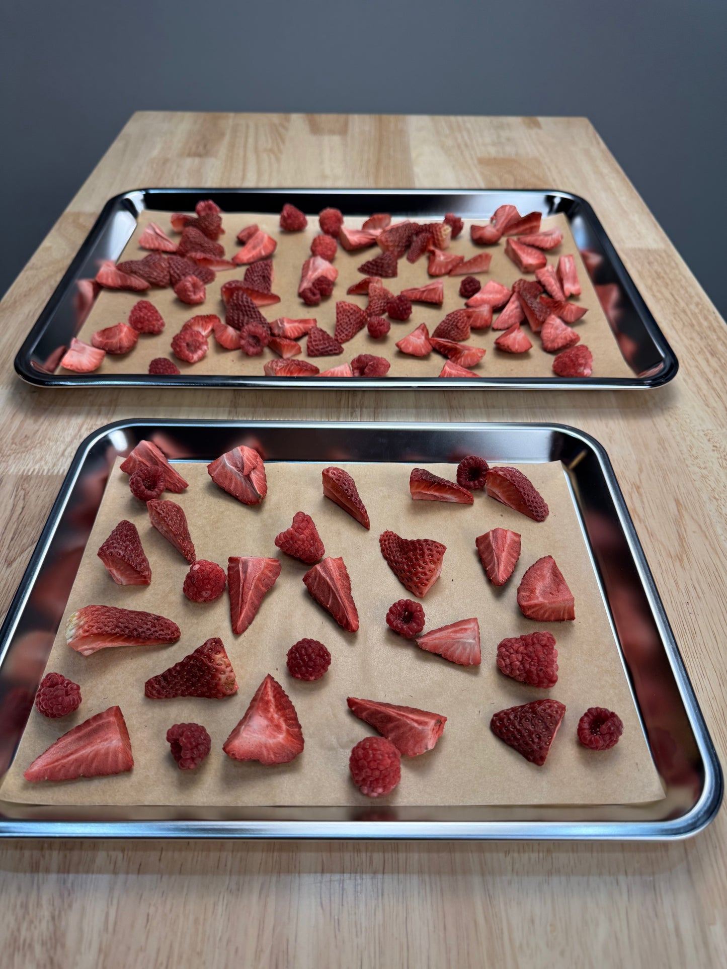 Crunch Co. Parchment Paper For Blue Alpine Freeze Dryer Trays