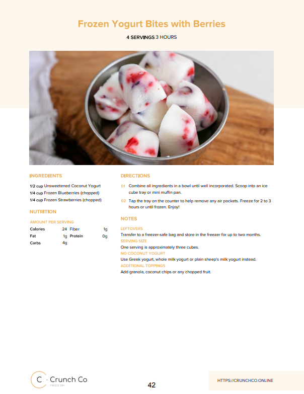 Digital PDF - The Portable Pantry - A Freeze Drying Cookbook for Backpackers (not a physical product)